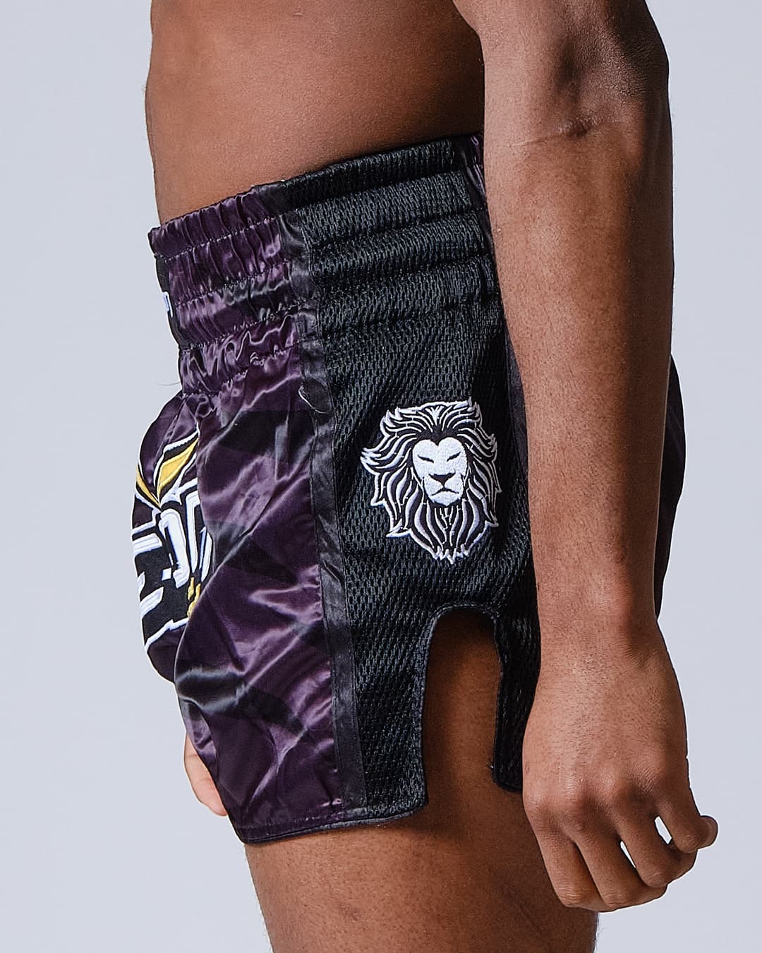 Short de Boxe Thaï ELION Raja - Noir - Image 8