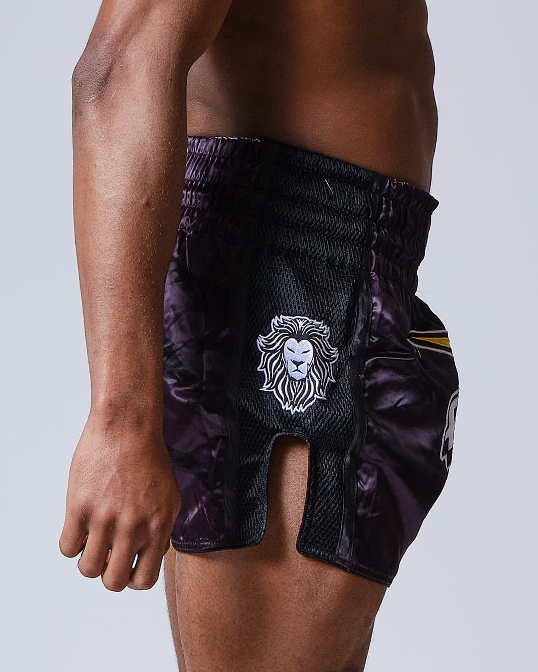 Short de Boxe Thaï ELION Raja - Noir - Image 7