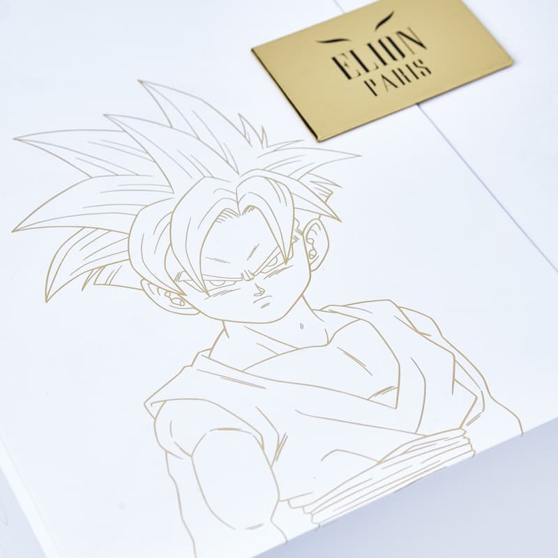 L'Elégant de boxe Dragon Ball Z X ELION Paris Edition Limitée Gohan - Image 13