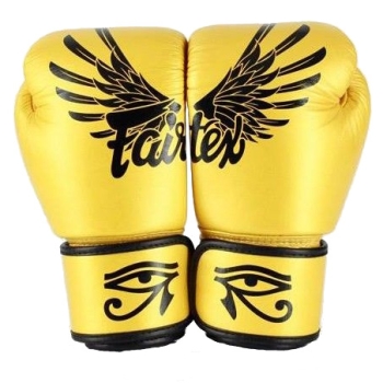 Gants de Boxe d'entrainement FAIRTEX FXV1 Falcon