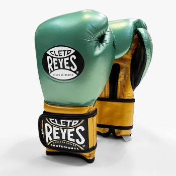 Gants de Boxe d'entrainement REYES WBC Edition