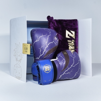 L'Elégant de boxe Dragon Ball Z X ELION Paris Edition Limitée Gohan