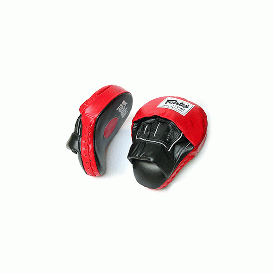 Pattes d'ours FAIRTEX Pro