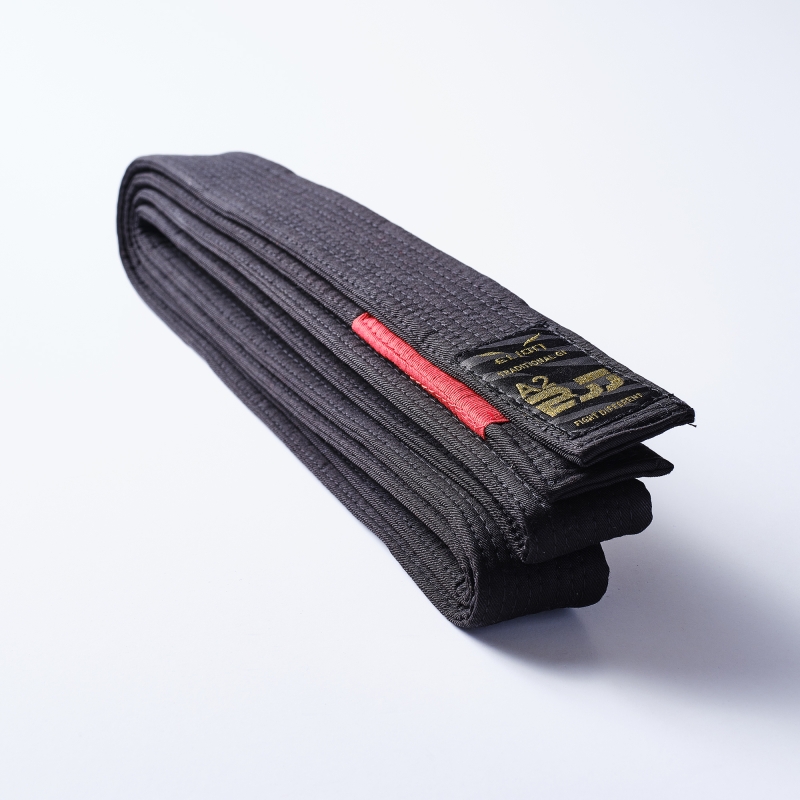 Ceinture noire jjb best sale
